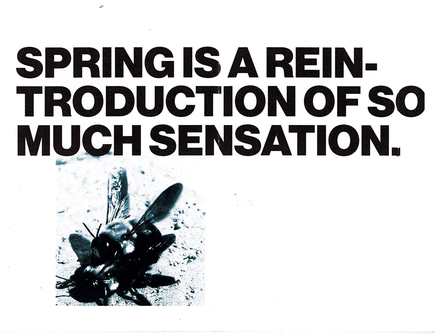 middle spread of zine titled my favorite g's trbuchet ms bold and varietta variable condensed semi bold