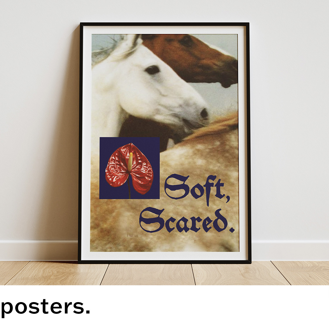 Posters Page